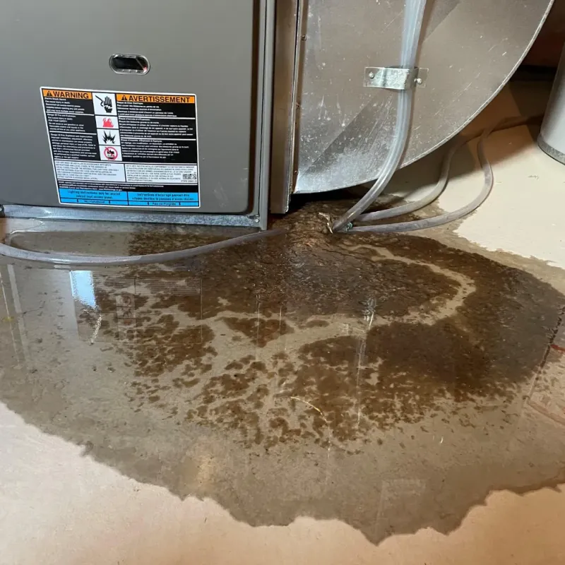 Appliance Leak Cleanup in Clay County, MO