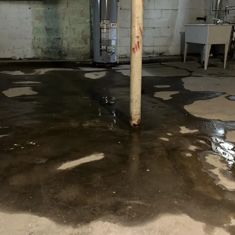 Emergency Water Extraction And Removal in Clay County, MO